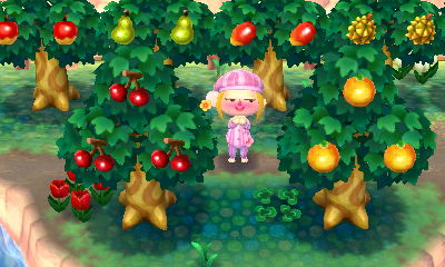 Archivo:Varios árboles con fruta en Animal Crossing New Leaf.png