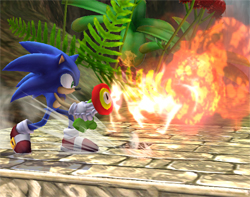 Archivo:Sonic usando la Flor de fuego SSBB.jpg