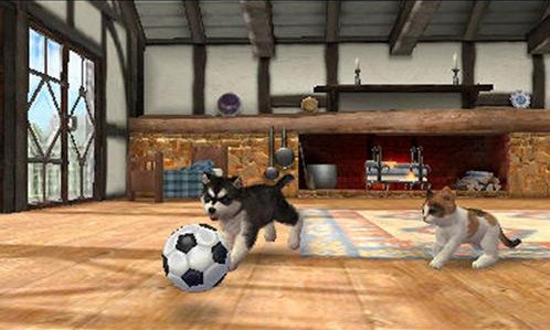 Archivo:Un perro y un gato jugando en la Casa rural en Nintendogs + Cats.jpg