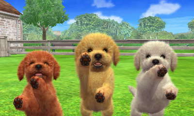 Archivo:Tres Caniches Toy en Nintendogs + Cats.jpg