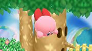 Indefensión Kirby SSB4 (Wii U).jpg