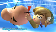 Toon Link