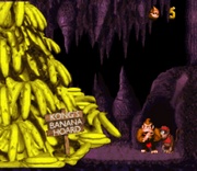 Donkey Kong y Diddy Kong junto al tesoro de la familia Kong en Donkey Kong Country.