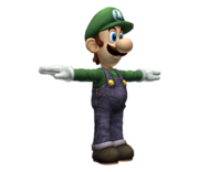 Pose T de Luigi.