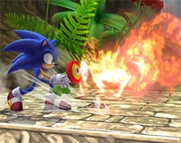 Sonic usando la Flor de fuego en Super Smash Bros. Brawl.