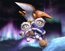 Entrada Ice Climbers SSBB.jpg