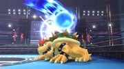 Sonic y Bowser en el Ring de boxeo - (SSB. for Wii U).jpg