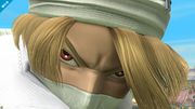 Detalle del rostro de Sheik en Pilotwings.