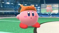 Charizard-Kirby SSB4 1 (Wii U).jpg
