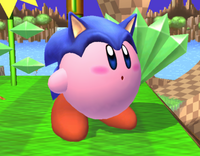 Sonic-Kirby (1) SSBB.png