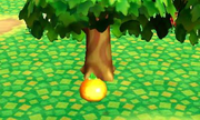 Naranja (Animal Crossing) SSB4 (3DS).png