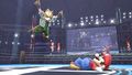 Fox y Mario en el Ring de Boxeo SSB4 (Wii U).jpg
