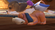 Duck Hunt/Dúo Duck Hunt