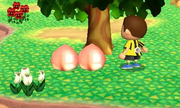 Melocotón (Animal Crossing) SSB4 (3DS).png