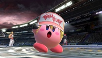 Terry-Kirby 1 SSBU.jpg