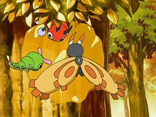Archivo:EP500 Pokémon comiendo miel.png