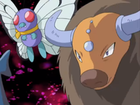 Archivo:OPJ10 Butterfree y Tauros.png