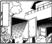Villa Raíz en el manga Pocket Monsters Special.