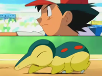 Archivo:EP270 Cyndaquil y Ash.png