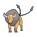 Archivo:Tauros XY.png