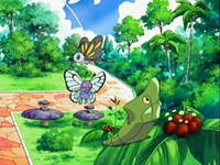Archivo:EP533 Pokémon del vivero.png