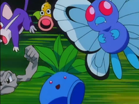 Archivo:EP015 Pokémon siendo absorbidos (3).png