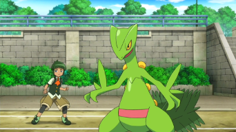 Archivo:EP909 Sawyer y Sceptile.png