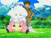 Archivo:EP531 Miltank con la cara llena de espuma.png