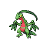 Grovyle NB.png