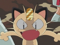 Archivo:EP341 Meowth.png