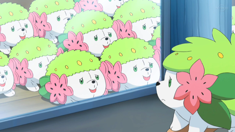 Archivo:EP1071 Peluches Shaymin.png