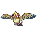 Icono de Pidgeot en Pokémon HOME