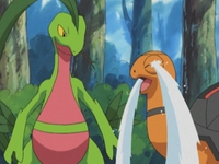Archivo:EP343 Torkoal y Grovyle.png