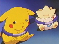 Archivo:EP238 Pikachu y Togepi atrapados.jpg