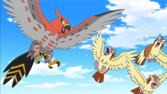 Archivo:EP892 Talonflame y Pidgey.png