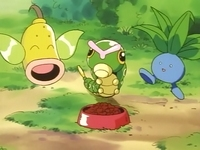 Archivo:EP010 Weepinbell, Caterpie y Oddish.png