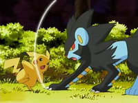 Archivo:EP528 Luxray atacando a Pikachu.png