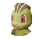 Machop