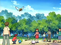 Archivo:EP398 Coordinadores Pokémon (5).png