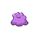 Ditto DP.png