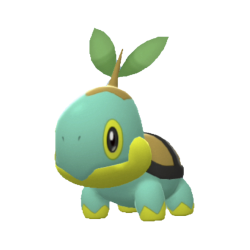 Turtwig