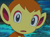 Archivo:EP522 Chimchar.png