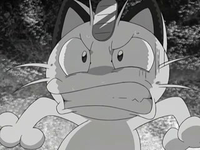 Archivo:EP572 Meowth (5).png