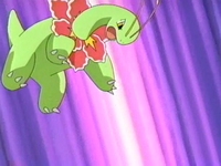 Meganium usando golpe cuerpo.
