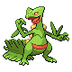 Sceptile Pt.png