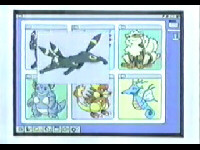 Archivo:EP271 Pokémon de Gary en su página web.jpg