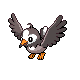 Starly DP 2.png