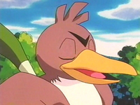 Farfetch'd - WikiDex, la enciclopedia Pokémon