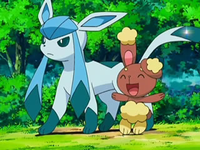 Archivo:EP545 Glaceon y Buneary.png