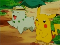 Archivo:EP163 Chikorita junto a Pikachu.jpg